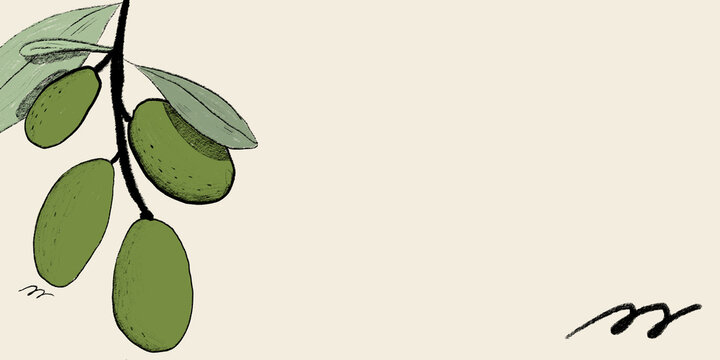 Illustration of green olives on a branch