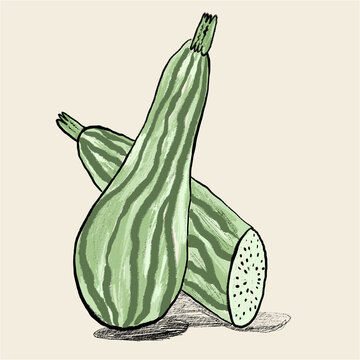 Illustration of zucchinis on beige background