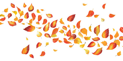 simple vector illustration of autumn leaves falling in a line on a white background