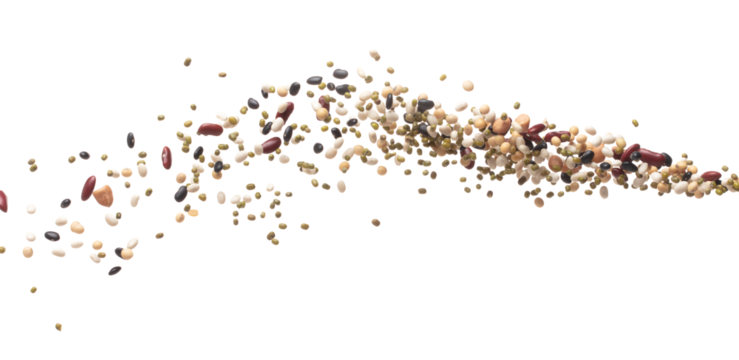 Mix beans fall down explosion, several kind bean float explode. Dried mixed white green red soy black peanut beans splash throwing in Air. White background Isolated high speed shutter, freeze