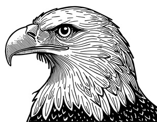 Aigle, profil, icone, dessin vectoriel, noir et blanc, gravure ancienne, fond blanc