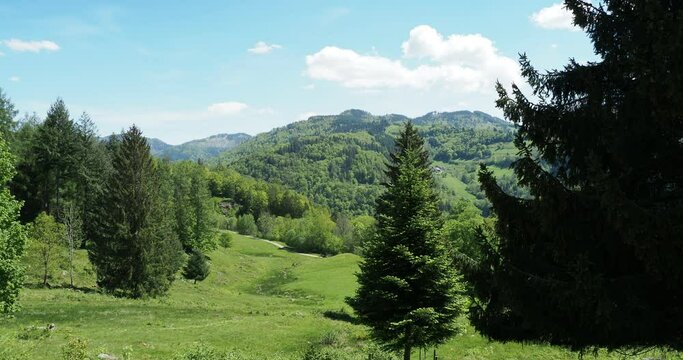  Rund um Schönau im Schwarzwald. Oberhalb des Letzbergweihers gesäumt von Weidberge und einen Hochwald mit einer tollen Aussicht nach Philosophenweg und Michelrütte
