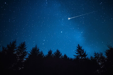 Stunning shooting star streaks across the sky above silhouetted evergreen trees under a vast, sparkling starry night