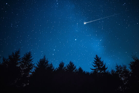 Stunning shooting star streaks across the sky above silhouetted evergreen trees under a vast, sparkling starry night
