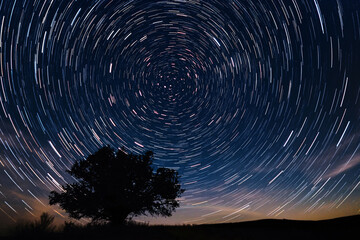 Nighttime time-lapse captures circular star trails and a stunning shooting star above a solitary tree's silhouette