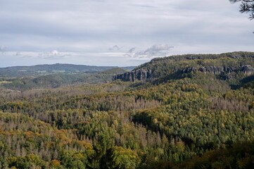 Scenic view of a lush evergreen forest beneath a partly cloudy sky