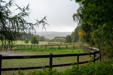 Picturesque rural landscape with a lush grassy field, a wooden fence, and tall trees