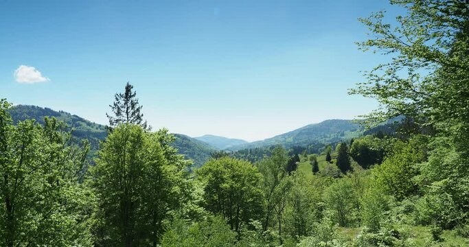Der Philosophenweg zwischen Schönau und Belchenweg durch den Wald 'Biosphärengebiet richtung Schönenbuchen mit Blick auf den Südschwarzwald
