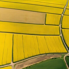 Aerial View of Cultivated Agricultural Land