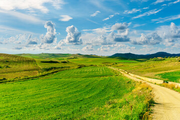 Beautiful landscape of green spring season field with salad grass, farm with garden and sunset or sunrise scenic sky
