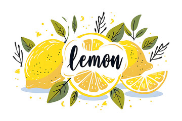Vector flat color cute simple cartoon lemon, sliced and cut into several pieces with text "lemon" on a white 