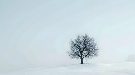 Minimalist background