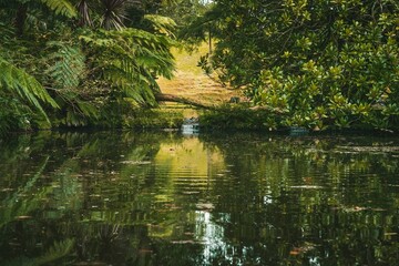Tranquil pond surrounded by lush greenery. Sao Miguel, Azores, Portugal