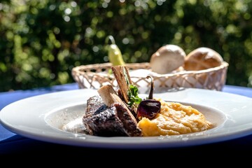 White plate with a savory meal of meat and potatoes in the center