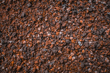 the texture of the soil is small rocky
