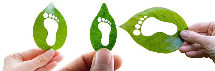 Extreme close-up of a human hand holding a green leaf with a footprint. Carbon footprint concept. Isolated on white or transparent background, png. Generative Ai.