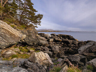 Sunset over the fjords among blooming flowers