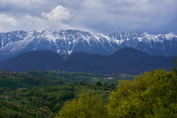 Mountains with snow and pine forests
