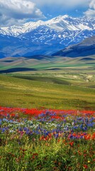 A field filled with vibrant wildflowers stretches towards a towering mountain in the background. The colorful blooms paint a picturesque scene under the clear sky.