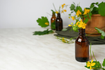 Celandine essential oil (extract, tincture, infusion, remedy) with fresh celandine flowers on a...