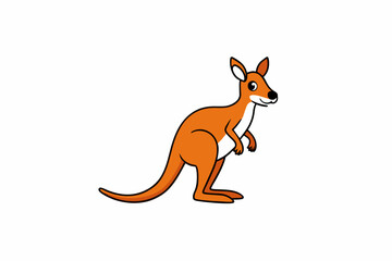 kangaroo cartoon vector illustration