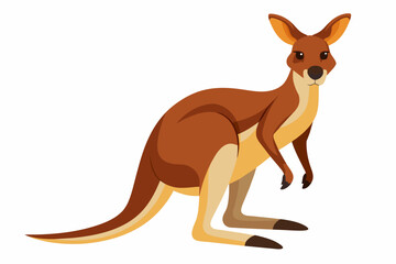 kangaroo cartoon vector illustration