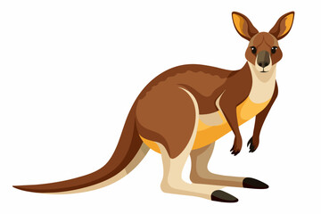 kangaroo cartoon vector illustration