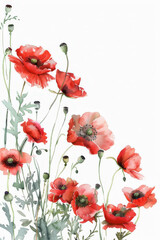 Obraz premium Beautiful and artistic watercolor painting in soft red and green tones on white paper background with empty space.