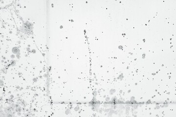 White background featuring an abstract black paint splatter design