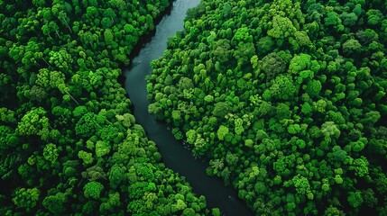 Sustainable harmony between humans and nature, envisioning a green future in peaceful coexistence