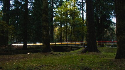 Variety of trees boasting colorful leaves, and a tranquil body of water in Hampshire, UK