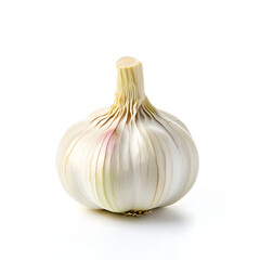 garlic isolated in white background
