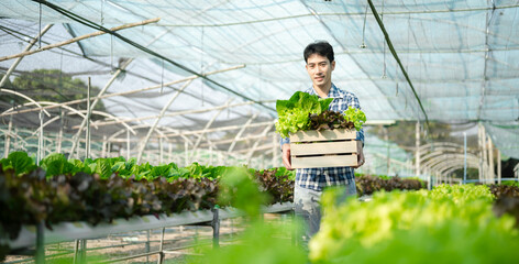 Asian man farmer looking organic vegetables and holding tablet for checking orders or quality farm.