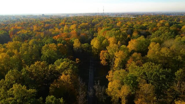 Drone footage of a trail in Oak-Wood Park (City Park) on a sunny day in Kaunas city in Lithuania