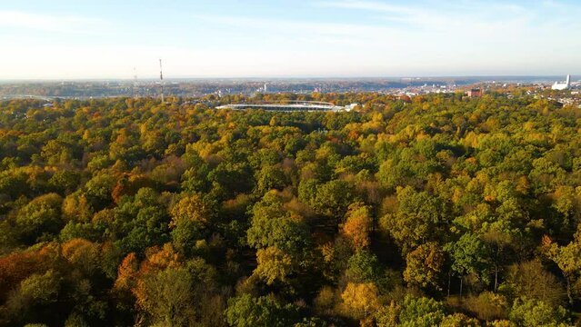 Drone footage of a trail in Oak-Wood Park (City Park) on a sunny day in Kaunas city in Lithuania