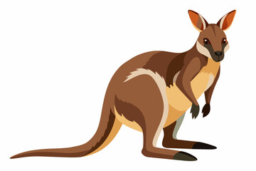 wallaby cartoon vector illustration