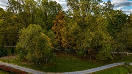 Winding road passing through a picturesque woodland landscape.