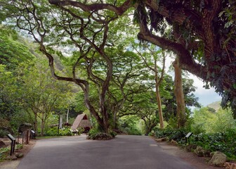 Scenic view of Waimea Valley on the Island of Oahu, Hawaii.