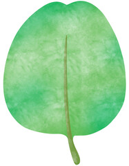 Green Leaf Watercolors 5