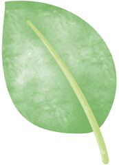 Green Leaf Watercolors 3