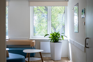 Bright room with light from the window, plants. Bright interior