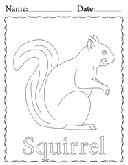 Squirrel Coloring Page. Printable Coloring Worksheet for Kids. Educational Resources for School and Preschool.