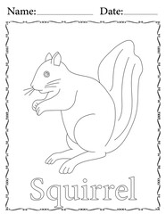Squirrel Coloring Page. Printable Coloring Worksheet for Kids. Educational Resources for School and Preschool.