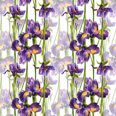 Bright purple irises. Watercolor illustration. Floral seamless pattern. Composition of wild flowers. For background design, packaging, textiles, flower shop