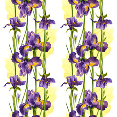 Bright purple irises. Watercolor illustration. Floral seamless pattern. Composition of wild flowers. For background design, packaging, textiles, flower shop