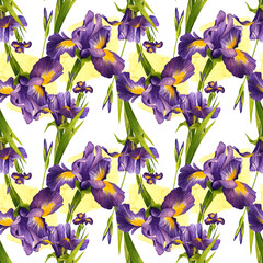 Bright purple irises. Watercolor illustration. Floral seamless pattern. Composition of wild flowers. For background design, packaging, textiles, flower shop