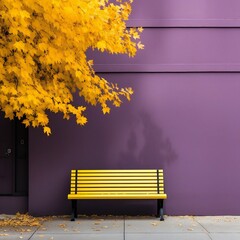 A Bench In Front Of A Purple Building 