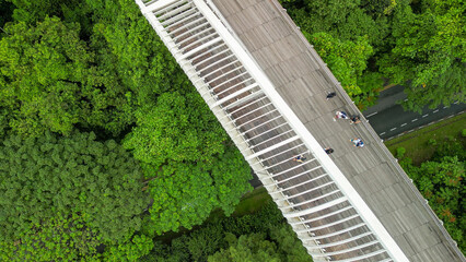 Aerial view of Henderson Waves Bridge in Singapore