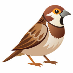 sparrow-vector-illustration and graphic recourse 