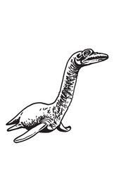 Graphical muraenosaurus isolated on white background, vector illustration, water dinosaur